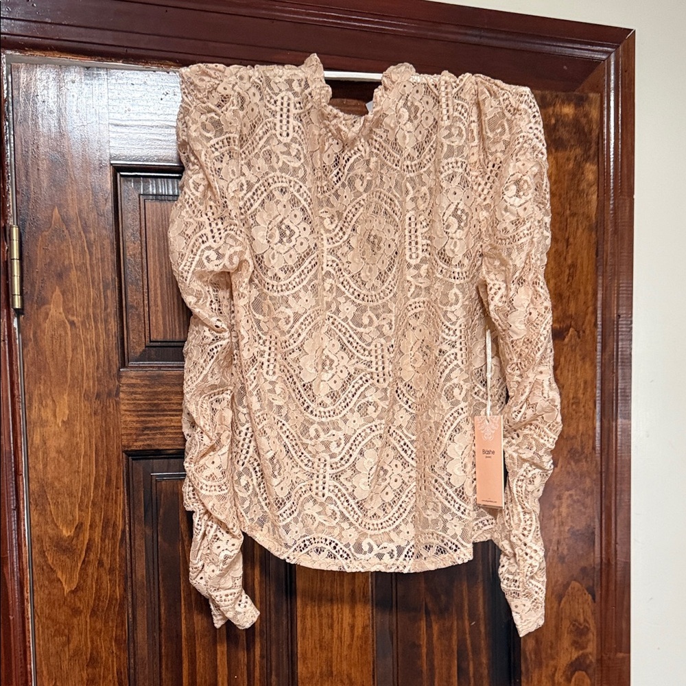 Women’s Lace Long-Sleeve Blouse in Blush Pink